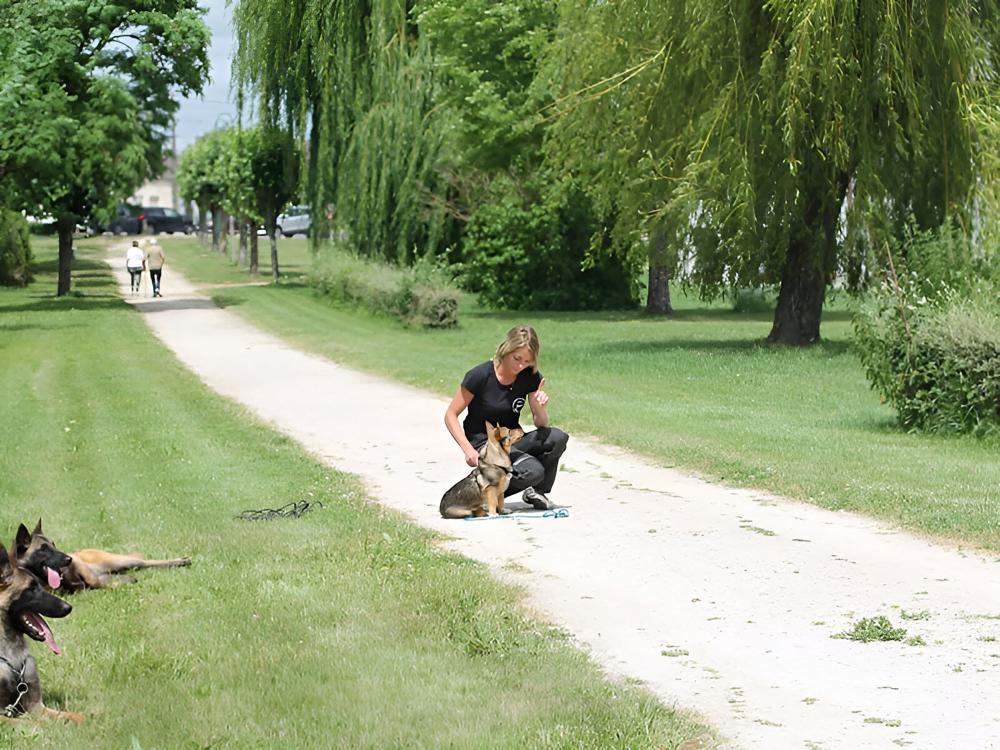 Formation educateur canin près de Tours